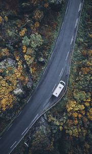 Preview wallpaper road, top view, trees, autumn, car