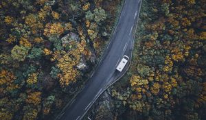 Preview wallpaper road, top view, trees, autumn, car