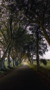 Preview wallpaper road, trail, trees, meadow, nature, landscape