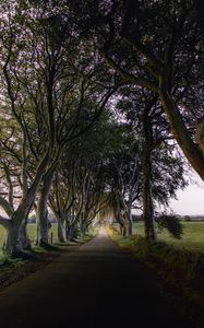 Preview wallpaper road, trail, trees, meadow, nature, landscape