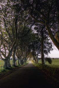 Preview wallpaper road, trail, trees, meadow, nature, landscape