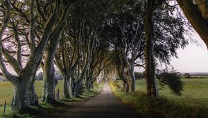 Preview wallpaper road, trail, trees, meadow, nature, landscape