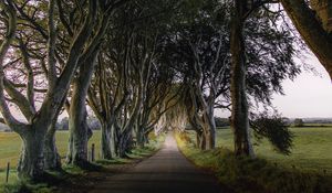 Preview wallpaper road, trail, trees, meadow, nature, landscape