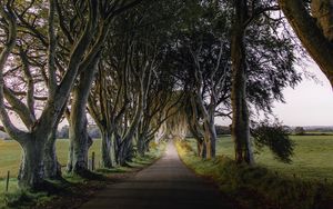 Preview wallpaper road, trail, trees, meadow, nature, landscape