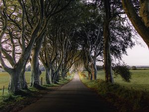 Preview wallpaper road, trail, trees, meadow, nature, landscape