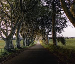 Preview wallpaper road, trail, trees, meadow, nature, landscape