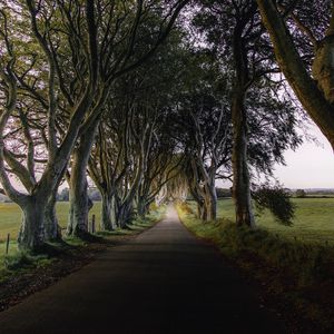 Preview wallpaper road, trail, trees, meadow, nature, landscape