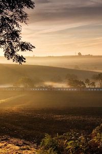 Preview wallpaper road, train, fog, morning, tree