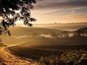 Preview wallpaper road, train, fog, morning, tree