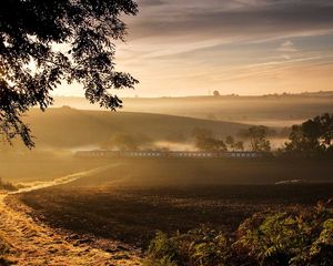 Preview wallpaper road, train, fog, morning, tree