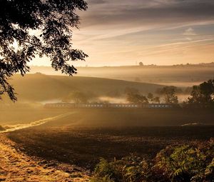 Preview wallpaper road, train, fog, morning, tree