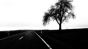 Preview wallpaper road, tree, bw, minimalism, landscape