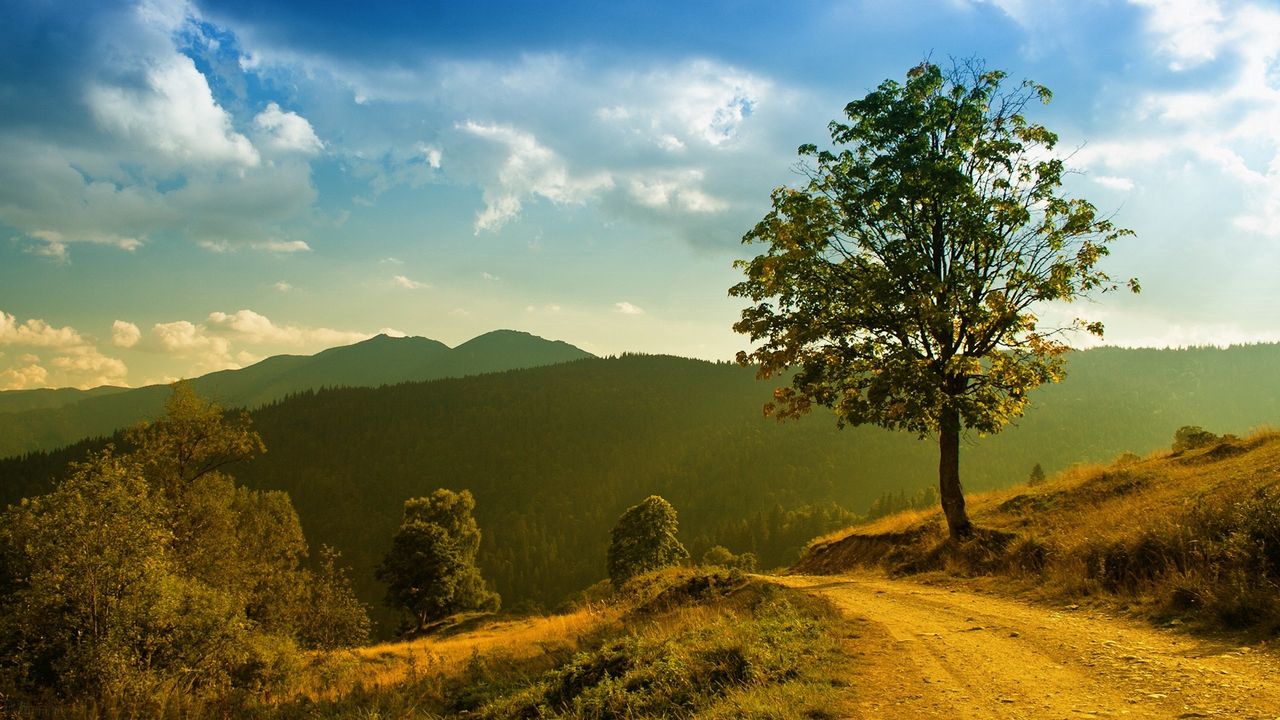 Wallpaper road, tree, descent, mountain, slope, sky, day, clearly