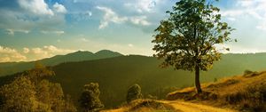 Preview wallpaper road, tree, descent, mountain, slope, sky, day, clearly