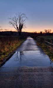 Preview wallpaper road, tree, field, fence, reflection, nature