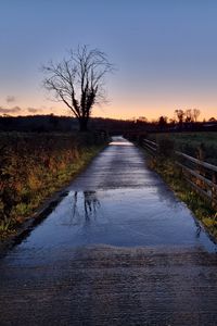 Preview wallpaper road, tree, field, fence, reflection, nature