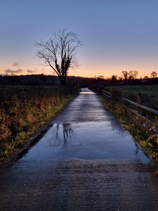 Preview wallpaper road, tree, field, fence, reflection, nature