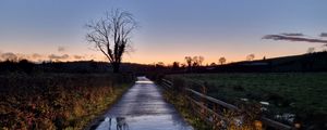 Preview wallpaper road, tree, field, fence, reflection, nature
