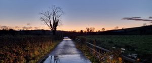 Preview wallpaper road, tree, field, fence, reflection, nature