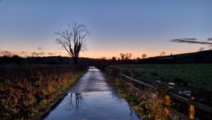 Preview wallpaper road, tree, field, fence, reflection, nature