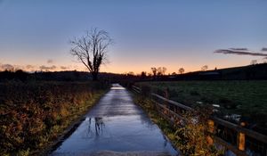 Preview wallpaper road, tree, field, fence, reflection, nature