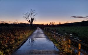 Preview wallpaper road, tree, field, fence, reflection, nature