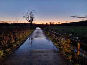 Preview wallpaper road, tree, field, fence, reflection, nature