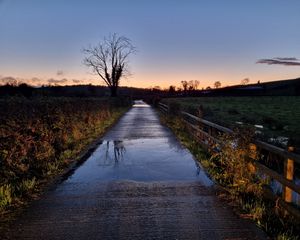 Preview wallpaper road, tree, field, fence, reflection, nature