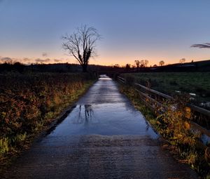 Preview wallpaper road, tree, field, fence, reflection, nature