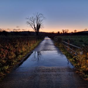 Preview wallpaper road, tree, field, fence, reflection, nature