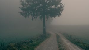 Preview wallpaper road, tree, fog, field, nature