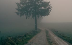 Preview wallpaper road, tree, fog, field, nature