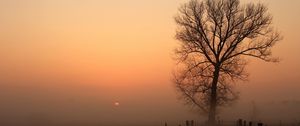 Preview wallpaper road, tree, fog, columns, darkness, dawn