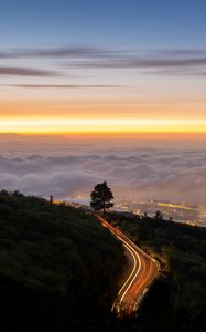 Preview wallpaper road, tree, freezelight, bushes, clouds, twilight