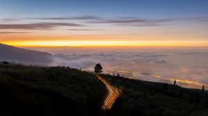 Preview wallpaper road, tree, freezelight, bushes, clouds, twilight