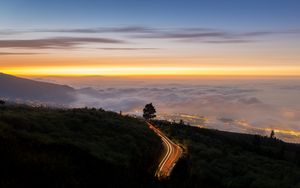 Preview wallpaper road, tree, freezelight, bushes, clouds, twilight