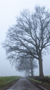 Preview wallpaper road, tree, horizon, distance