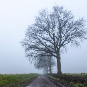 Preview wallpaper road, tree, horizon, distance