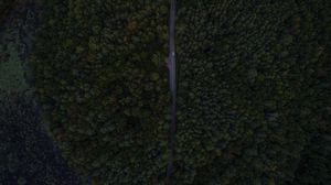 Preview wallpaper road, trees, aerial view, forest