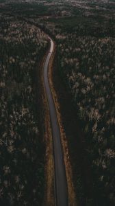 Preview wallpaper road, trees, aerial view, turn