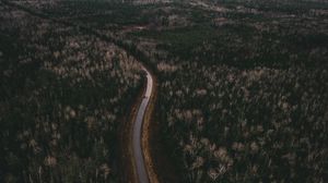 Preview wallpaper road, trees, aerial view, turn