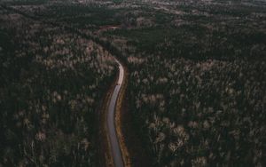 Preview wallpaper road, trees, aerial view, turn