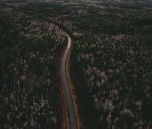Preview wallpaper road, trees, aerial view, turn