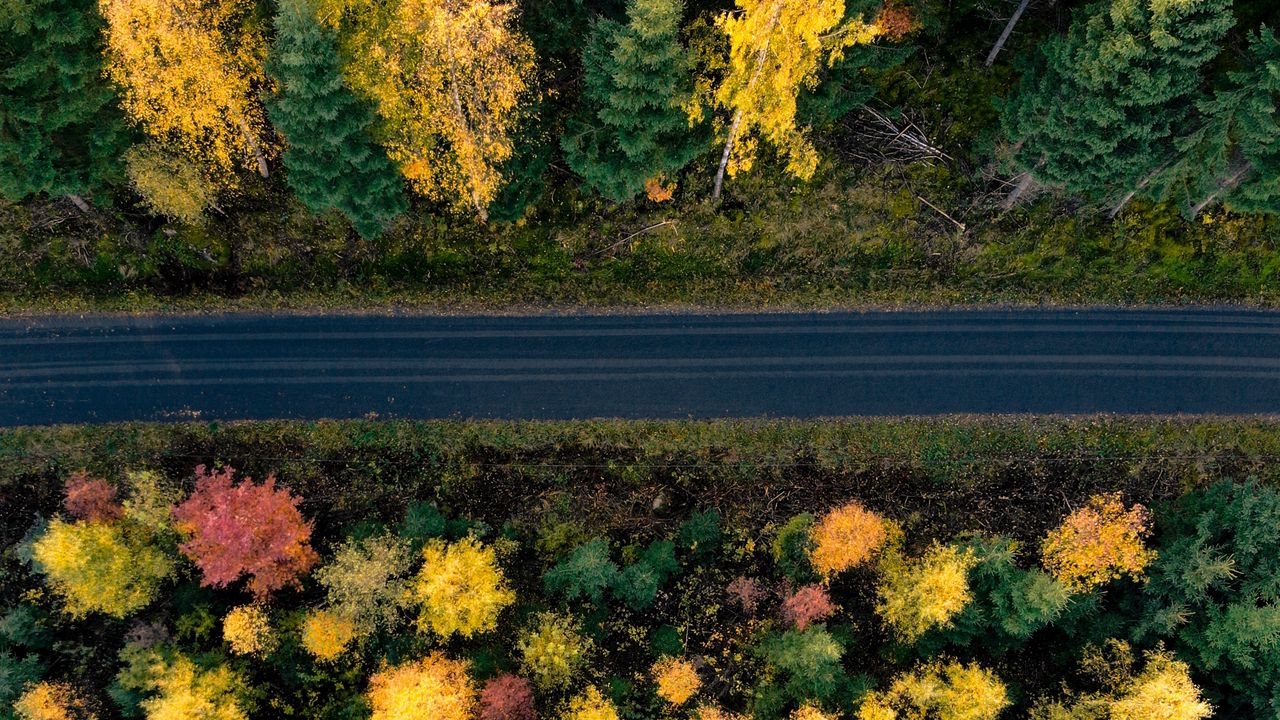 Wallpaper road, trees, aerial view, forest, autumn