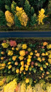 Preview wallpaper road, trees, aerial view, forest, autumn