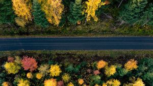 Preview wallpaper road, trees, aerial view, forest, autumn