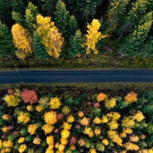 Preview wallpaper road, trees, aerial view, forest, autumn