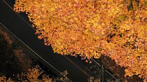 Preview wallpaper road, trees, aerial view, yellow, autumn