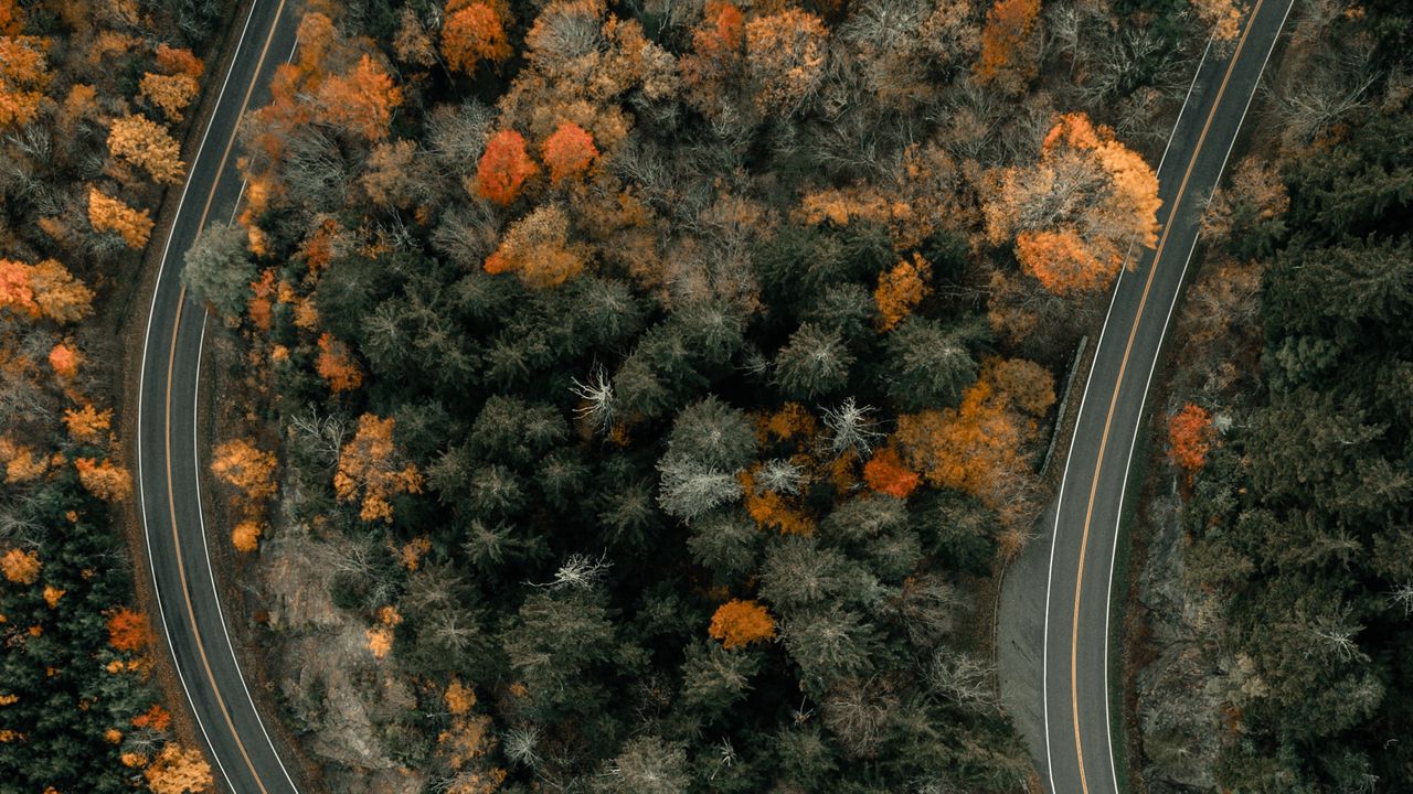 Wallpaper road, trees, aerial view, overwiev
