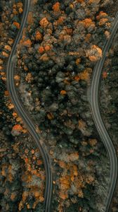 Preview wallpaper road, trees, aerial view, overwiev